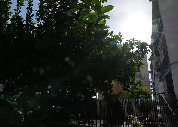 Casaros * نابولي