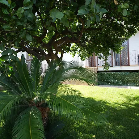 Casaros Apartamento
