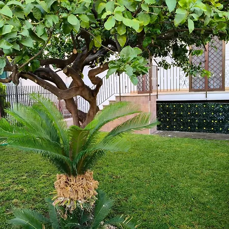 Apartamento Casaros *